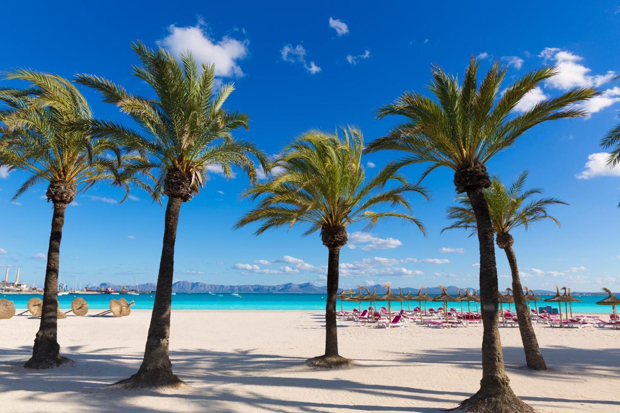 Alcudia Garden Aparthotel Port de Alcudia  Exterior photo